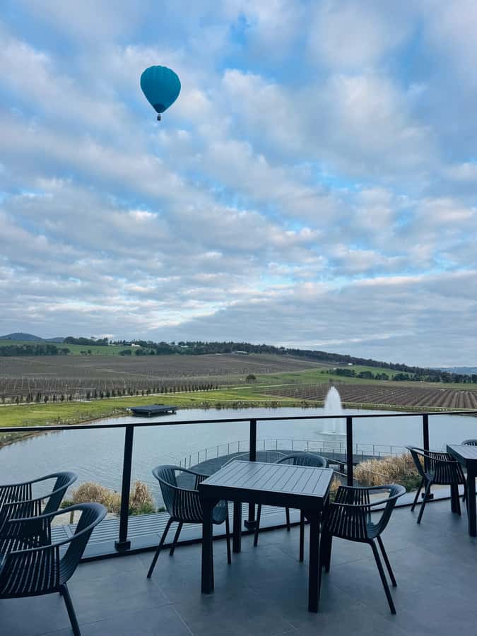 Puffing Billy Penguin Parade Winery Chocolaterie All-in-One - The transport choice can shape your day