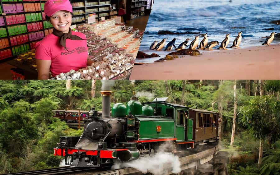 Puffing Billy Penguin Parade Winery Chocolaterie All-in-One - Chocolates first at the Yarra Valley Chocolaterie