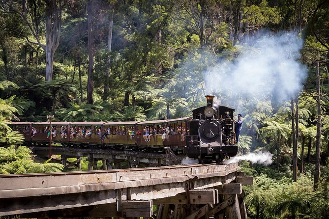 Puffing Billy & Rainforest Tour from Melbourne - A guided tour makes the logistics easier