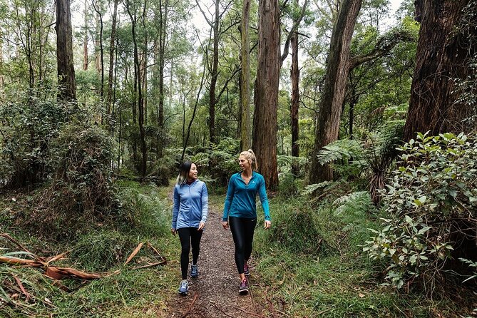 Puffing Billy & Rainforest Tour from Melbourne - Leaving Melbourne for Grants Picnic Ground