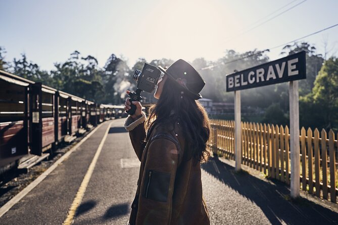 Puffing Billy Steam Train and Penguins Wildlife Tour - Two Victorian icons in one long afternoon
