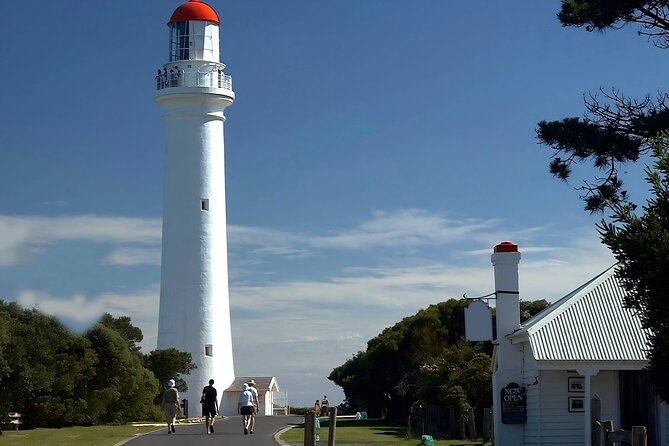 Reimagined Great Ocean Road 1-Day Tour from Melbourne - Apollo Bay is your best chance to eat