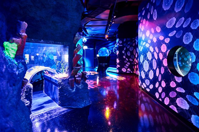 SEA LIFE Melbourne Aquarium Admission Ticket - Sharks, rays, and the large underwater tanks