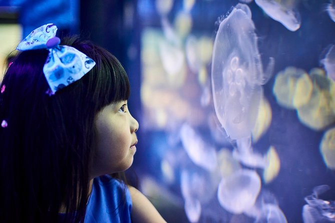 SEA LIFE Melbourne Aquarium Admission Ticket - Crowds, building layout, and comfort