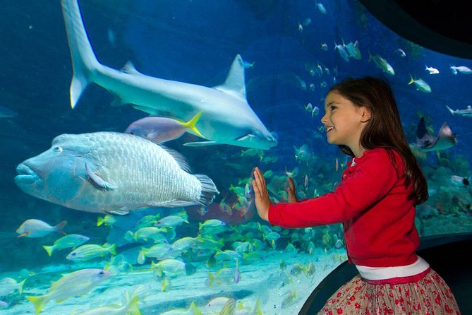 SEA LIFE Melbourne Aquarium Admission Ticket - How much value do you get for $27.97?