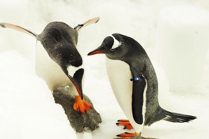 SEA LIFE Melbourne Aquarium Admission Ticket - Who should book SEA LIFE Melbourne Aquarium?