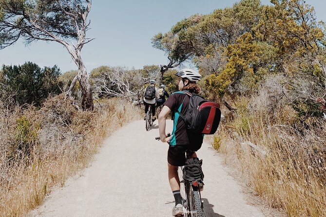 Self-Guided Point Nepean National Park Bike Hire - Coastal riding toward Observatory Point