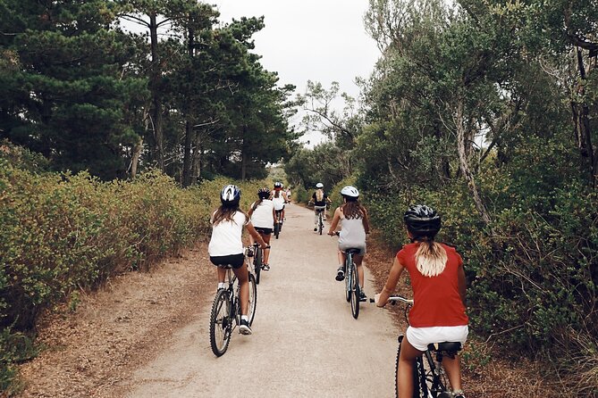 Self-Guided Point Nepean National Park Bike Hire - Cheviot Hill and the military side of the park