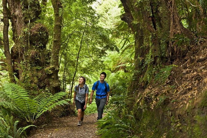 Small-Group Great Ocean Road Classic Day Tour from Melbourne - Apollo Bay gives you lunch and a beach