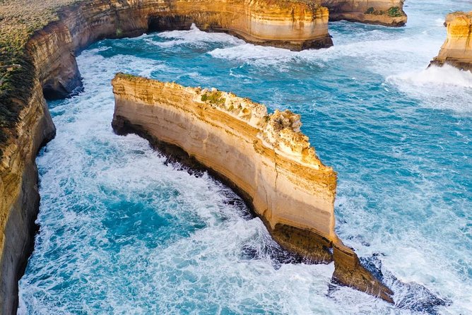 Small-Group Great Ocean Road Day Trip from Melbourne - Great Otway National Park: rainforest and Australian wildlife