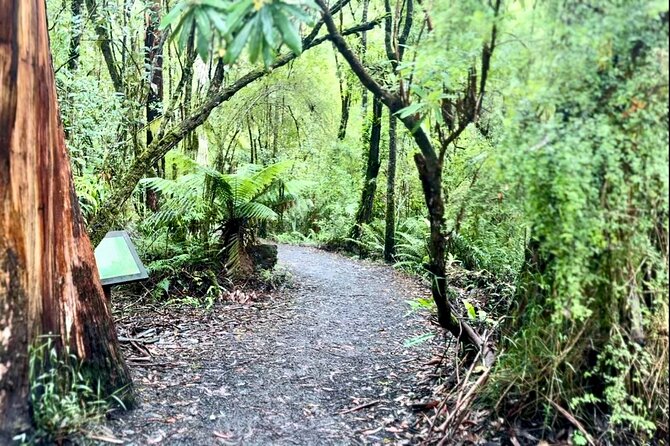 Small group Great Ocean Road Reverse & Wildlife spotting - Why the reverse route changes the day
