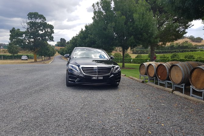 Small Group Personalised Private Tours Melbourne (up to 14 pax) - Price, group size, and real value