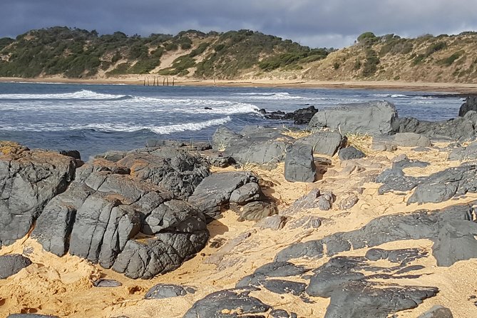 Small Group Personalised Private Tours Melbourne (up to 14 pax) - Who will get the most from this service?