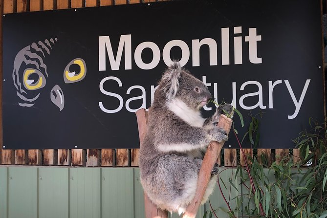 Small-Group Phillip Island Afternoon Day Trip from Melbourne - Is the $150 price good value?