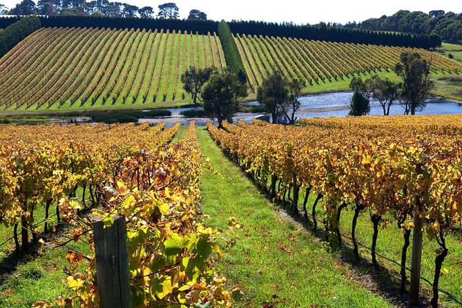 Small Group: Ultimate Mornington Peninsula Food and Wine Day - Why the small group matters