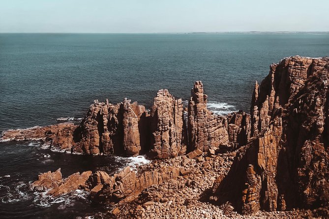 Small Tour (8 ppl) Phillip Island Hike & Penguin Parade Day Tour - A Full Day Built Around Phillip Island’s Best Moments