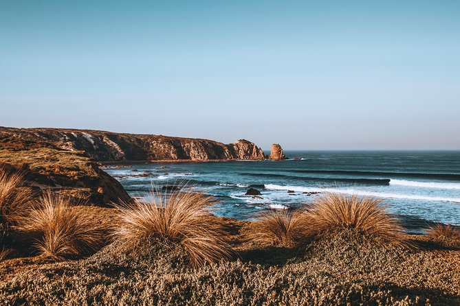 Small Tour (8 ppl) Phillip Island Hike & Penguin Parade Day Tour - Is the $200.11 Price Good Value?