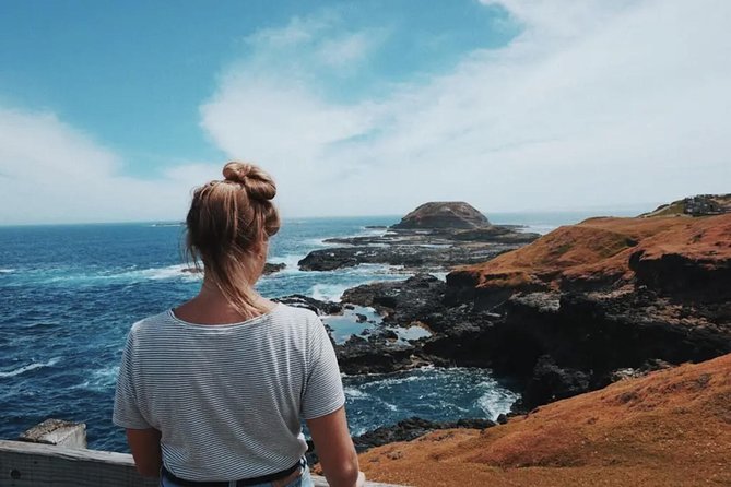 Small Tour (8 ppl) Phillip Island Hike & Penguin Parade Day Tour - Timing, Group Size, and Small Practical Details