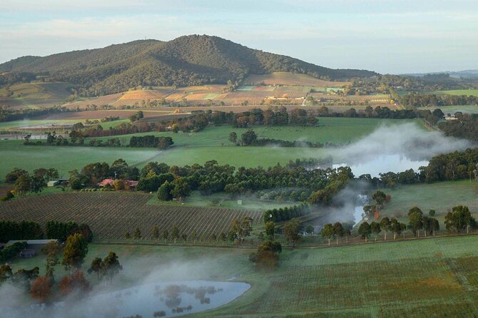Sunrise Hot Air Balloon Flight over Yarra Valley + Breakfast - Continental breakfast at Rochford Wines