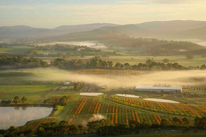 Sunrise Hot Air Balloon Flight over Yarra Valley + Breakfast - Is the $341.64 price good value?