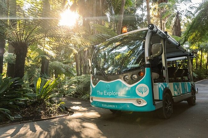 The Explorer - Melbourne Gardens - Why The Explorer works so well in Melbourne Gardens