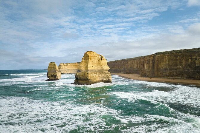 Ultimate Great Ocean Road Morning Escape Full Day Tour - The Otway forest stop keeps the day flexible