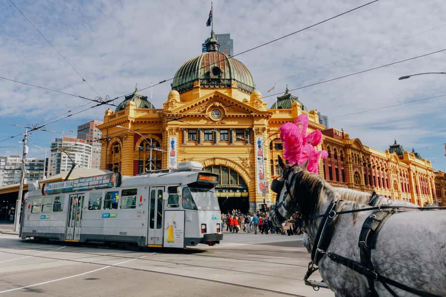 Ultimate Melbourne Walking Tour: History, Laneways & Culture - The final pub stop gives the walk a social finish