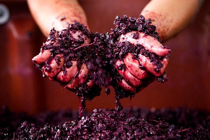 Ultimate Mornington Peninsula Food and Wine Small Group Tour - What the small group changes