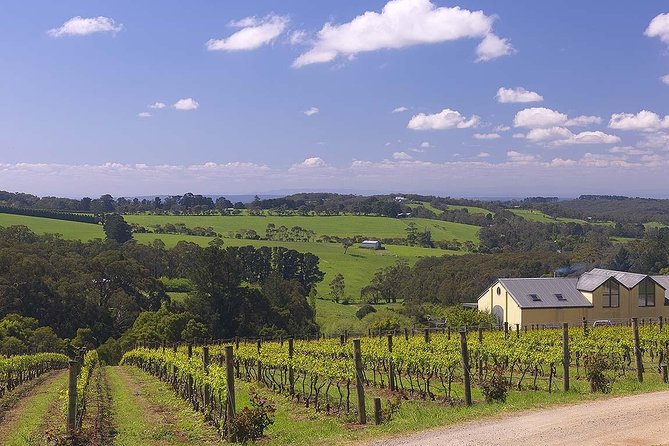 Ultimate Mornington Peninsula Food and Wine Small Group Tour - Pickup, timing, and the return to Melbourne