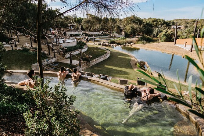 Ultimate Peninsula Adventure: Stand Up Paddle, Hot Springs, Hike, Lunch & Winery - Picnic lunch with a coastal view