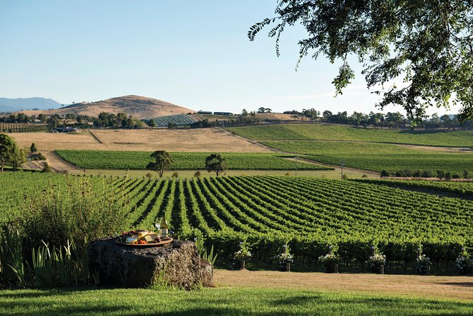 Ultimate Yarra Valley Chandon, Soumah & De Bortoli Cheese & Wine - De Bortoli pairs wine with artisan cheese