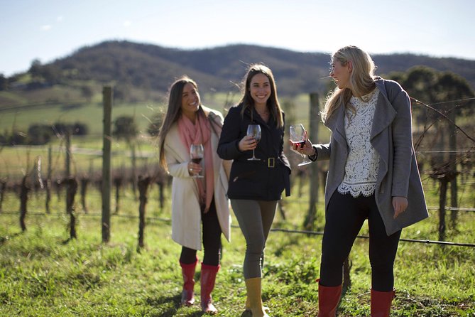 Ultimate Yarra Valley Chandon, Soumah & De Bortoli Cheese & Wine - Timing, comfort, and the occasional rough edge