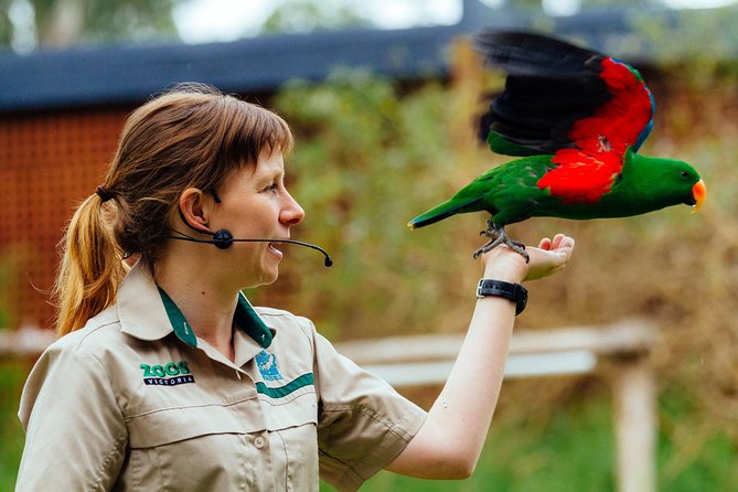 VIP Sanctuary Tour at Healesville Sanctuary - excl. entry - Who will get the most from this tour