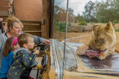 Werribee Open Range Zoo: Entry Ticket