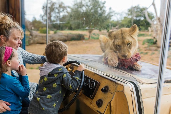 Werribee Open Range Zoo General Admission Ticket - Key points to know before you go
