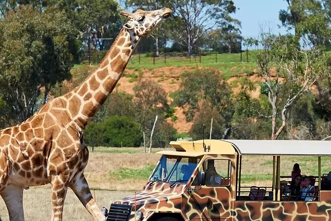 Werribee Zoo & Werribee Mansion Tour - Key points to know before booking