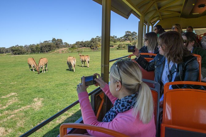 Werribee Zoo & Werribee Mansion Tour - Lunch, comfort, and practical planning