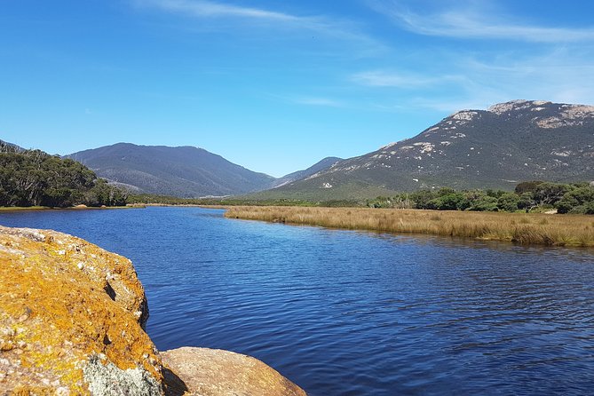 Wilson's Promontory & Phillip Island - 'Prom & Penguins' Tour - A gourmet picnic lunch, with dinner still to plan