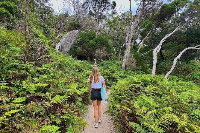 Wilson's Promontory Small Group Eco Tour from Melbourne - An Evening Wildlife Walk at the Former Airfield