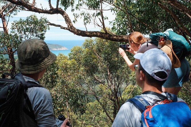 Wilson's Promontory Small Group Eco Tour from Melbourne - What the $121.21 Price Really Covers