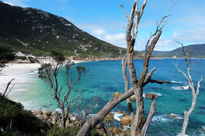 Wilsons Promontory Hiking Day Tour - 8 Person Max Small Group - Wildlife along the way