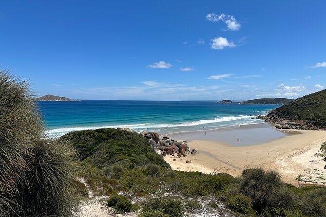 Wilsons Promontory Wilderness Day Tour - Choose Your Main Walk at Mt Oberon, Mt Bishop, or Lilly Pilly Gully