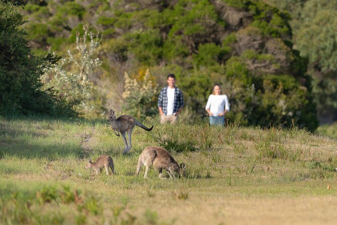 Wilsons Promontory Wilderness Day Tour - Norman Beach Offers a Gentle First Walk