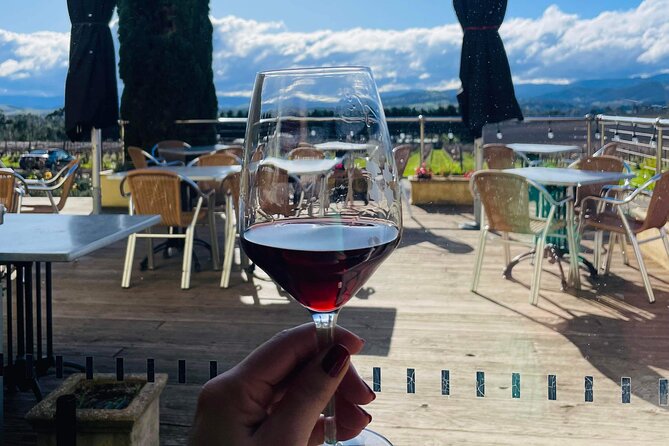Wine Tour Yarra Valley Five Star Experience - Who will enjoy this tour most?