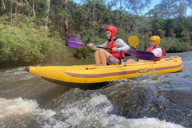 Yarra River Half-Day Rafting Experience - Mini-gorges, river valleys, and native bushland
