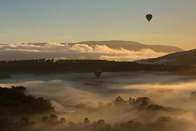 Yarra Valley Balloon Flight + Breakfast & Melbourne Pickup - One hour above vineyards and the Yarra River