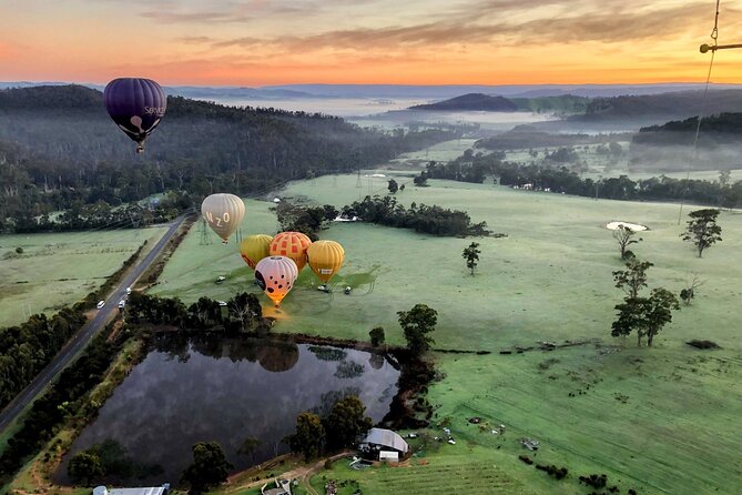 Yarra Valley Balloon Flight + Breakfast & Melbourne Pickup - Who will enjoy this morning most