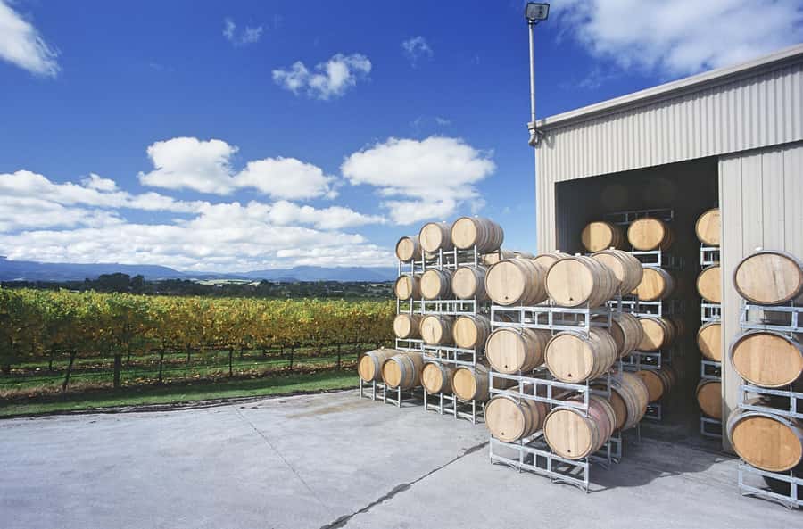 Yarra Valley: Bus Wine Tour with Lunch and a Glass of Wine - Key points to know before booking