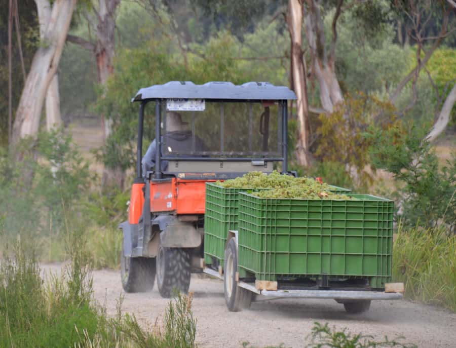 Yarra Valley: Bus Wine Tour with Lunch and a Glass of Wine - Is this tour worth booking?
