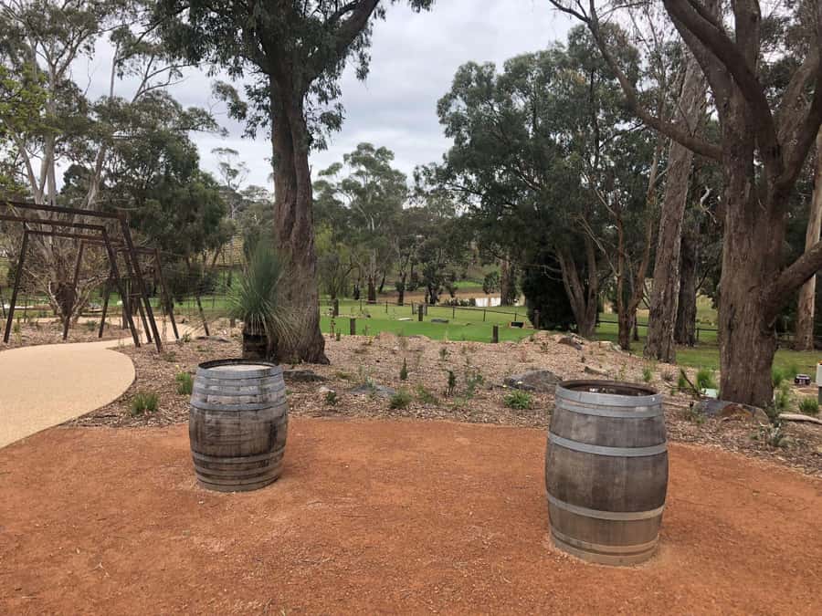 Yarra Valley: Bus Wine Tour with Lunch and a Glass of Wine - What the four winery visits are like